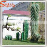 Latest Design Home Decoration Craft Artificial Cactus Plants Make Decoration Plastic Cactus and Plants thumbnail-6