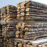 Uab Pesoka company overview - view 2 thumbnail