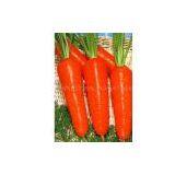 Beta-carotene thumbnail-1