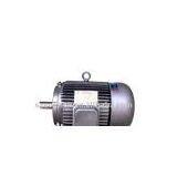 Y Serial Tri Phase Induction Motor thumbnail-1