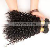 New Arrival Factory Price Top Quality 7A Virgin Hair Kinky Curl Human Hair Weaving thumbnail-4