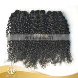 2015 Hot Sale Wet And Wavy Brazilian Hair Kinky Curly Virgin Hair thumbnail-1