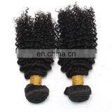 8A Virgin Hair Kinky Curly 100% Natural Original Brazilian Human Hair for Black Women thumbnail-5