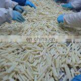 300kg Automatic Plant French Fries Frying Machine French Fries Machine Turkey thumbnail-5