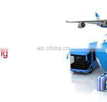 BIOBASE China Medical SPF Chicken Isolator for Chicken Feeding and Poultry Disease Testing thumbnail-3