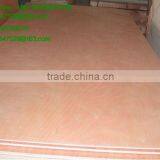 Door Skin Plywood thumbnail-1