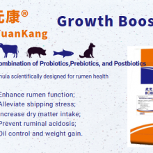Rumen Booster