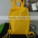 Non Woven Recycling Bag (ready Make) thumbnail-1