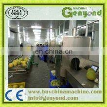 Jackfruit Peeling Machine Skiving Machine Peeler Industrial Machine thumbnail-3