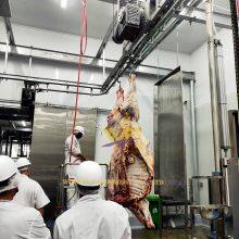 Freely Design Complete Cow Slaughter Line Equipment of Turnkey Project Solution Cattle Abattoir Machine thumbnail-2