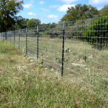 Farm Field Cattle Horse Goat Deer Wire Mesh Fence Barrier Wholesale Sustainable Hot Dipped Galvanized Steel Livestock Fence Ro thumbnail-2
