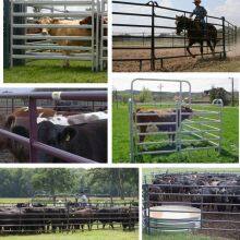 2025 New Model Galvanized Steel High Quality Farm Animal Used Livestock Fence Cattle Horse Sheep Panels Corral Gate thumbnail-5