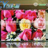 Round Led Video Screen