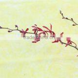 Fresh Cut Flowers Vanda Orchid Flowers thumbnail-2