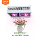 Greenhouse Plant Cob uv Lamps Full Spectrum Led Grow Lights