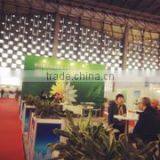 Shenzhen Dong Hua Chemical Material Co., Ltd. company overview - view 2 thumbnail