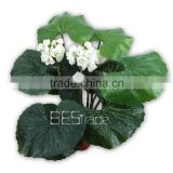 china manufacture artificial plant Huang Guanlan for wholesale