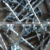 Galvanized Umbrella Head Roofing Nails With Smooth/Twist Shank by Low Price Quality Choice Most Popular thumbnail-2
