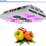 Chinese Factory Wholesale LED Grow Light Full Spectrum Programmable 1000w Induction Grow Lighting thumbnail-2