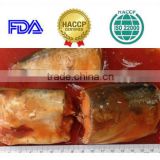 High Quality Delicious Canned mackerel in Tomato Sauce