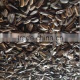 Roasted Salted Black Sunflower Seeds With Good Quality for Sale