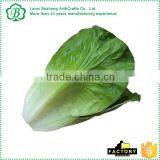 Hot Sale Brand Artificial Vegetables Anti Stress Reliever thumbnail-1