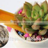 Planter Mover thumbnail-1