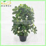 Making High Quality Fake Scheffleraoctophylla Tree