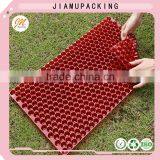 Transparent Vegetable Seed Starter Tray thumbnail-5