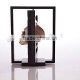 Collectors Cases - Slimline Rotating, Shadow Boxes, Shadow Box Display Cases thumbnail-5