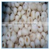 2016 new high quality fresh IQF frozen lychee meat