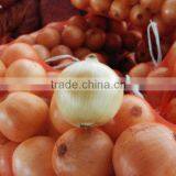 Fresh Yellow Onion thumbnail-1
