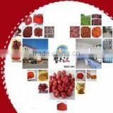 2012 New Crop Chinese Flakes Without Seeds thumbnail-1