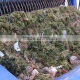 Hot Sail New Design Hydraulic Beach Sand Cleaner Beach Cleaning Machine thumbnail-6