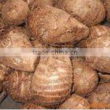 New Design 4 Pallet Truck Body With Great Price thumbnail-3