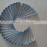 Galvanized Umbrella Head Smooth and Twisted Shank Roofing Nail From Nails Supplier thumbnail-5