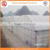 High Quality 10.8m Agriculture Plastic Film Greenhouse for Sale in China thumbnail-2