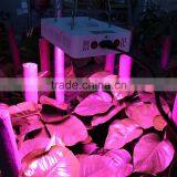 Led Grow Light With Veg/Bloom Spectrum for Hydroponic Indoor Greenhouse/garden Plant Growing thumbnail-6