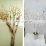 SJ140928 Wedding Decoration Centerpieces/plastic Dry Tree Branches/preserved Coral Tree thumbnail-5