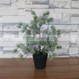 Plastic Mini Podocarpus Tree Bonsai thumbnail-1