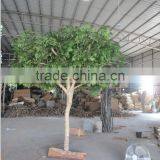 Fake Acacia Rachii Tree for Sale,Fake Green Tree Manufacturer in China thumbnail-4