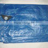 Agricultural pe Tarpaulin in Standard Size thumbnail-2