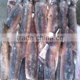 Frozen Seafood Illex Squid 200-300g thumbnail-2