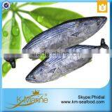 Seafood Fresh Frozen Sarda Fish For Delicious Canned Tuna thumbnail-5