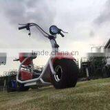 2017 Zhejiang Factory Steel Electric Bike 48v Citycoco With Suspension Scooter Citycoco 2 Wheel Electric Scooter thumbnail-1