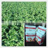 100g Instant Dry Yeast thumbnail-3