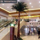 China 2015 Artificial Coconut Palm Tree Manufacturing Plant Desiccated Coconut for Shopping Mall thumbnail-3
