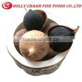 Fair Price Solo Black Garlic thumbnail-2