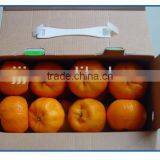 Natrual Rippen Yongchun Oranges thumbnail-1