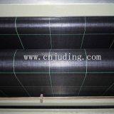 pp Woven Fabric thumbnail-1